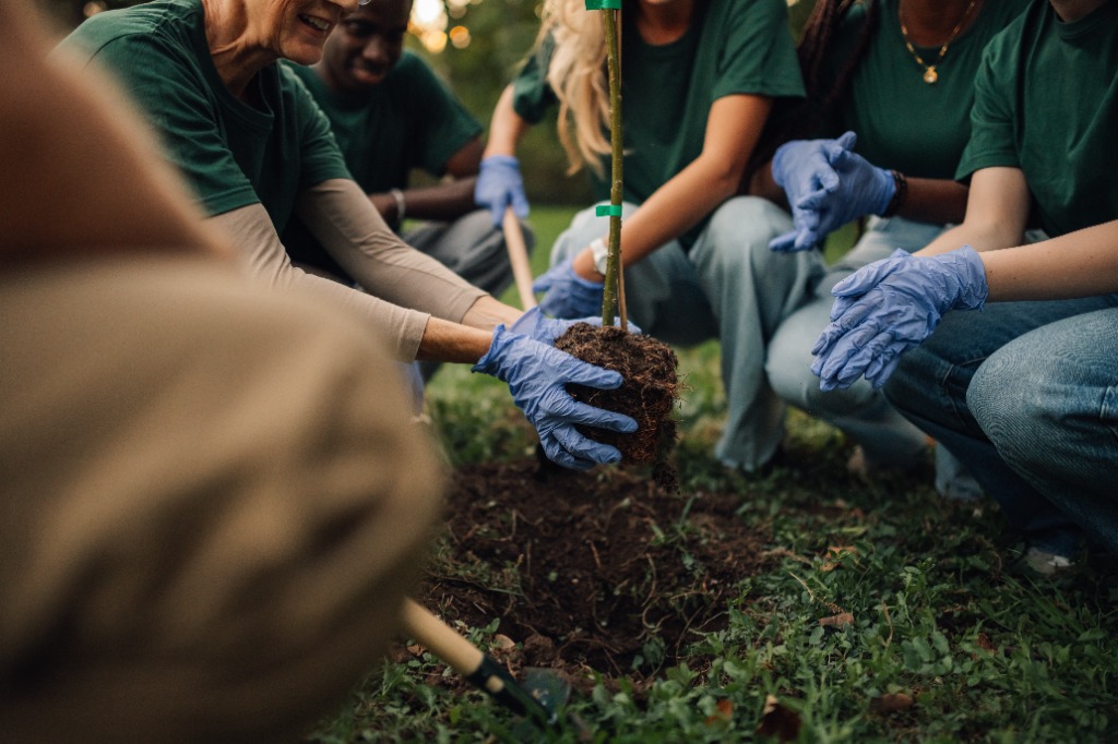Community tree stewardship and plantation drive in Indore